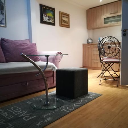 Apartament Apartman Galerija Nowy Sad Zewnętrze zdjęcie