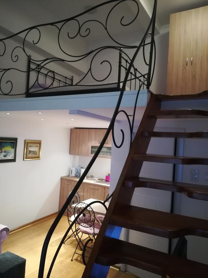 Apartament Apartman Galerija Nowy Sad Zewnętrze zdjęcie