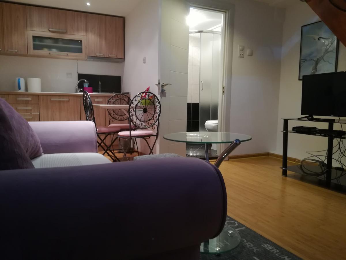 Apartament Apartman Galerija Nowy Sad Zewnętrze zdjęcie