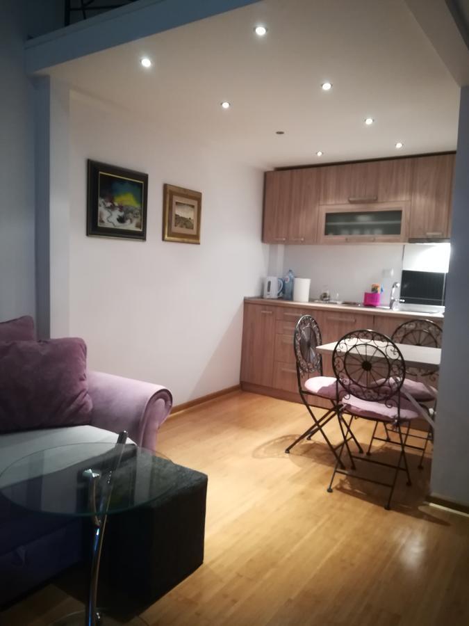 Apartman Galerija Nowy Sad Zewnętrze zdjęcie
