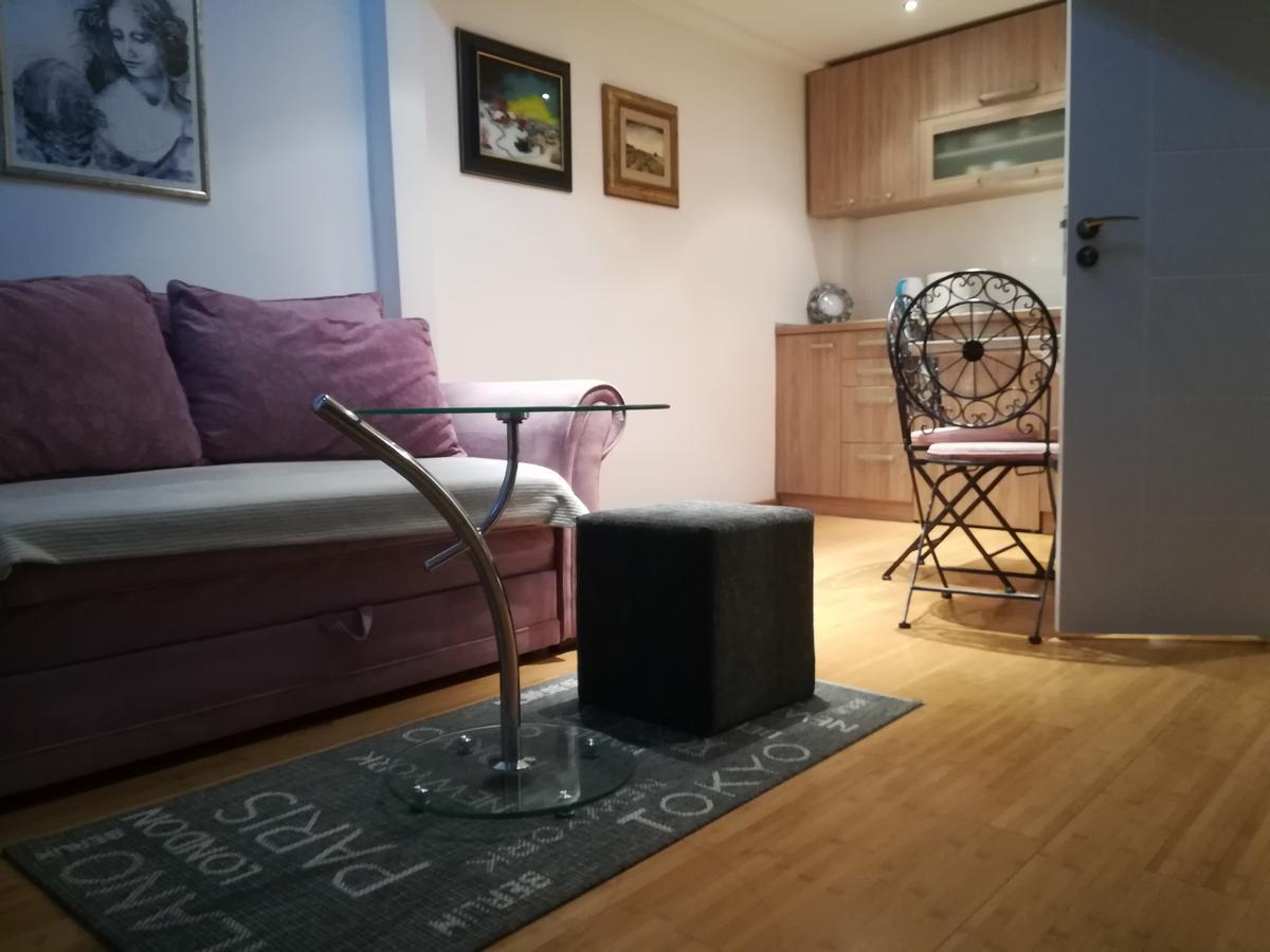 Apartament Apartman Galerija Nowy Sad Zewnętrze zdjęcie